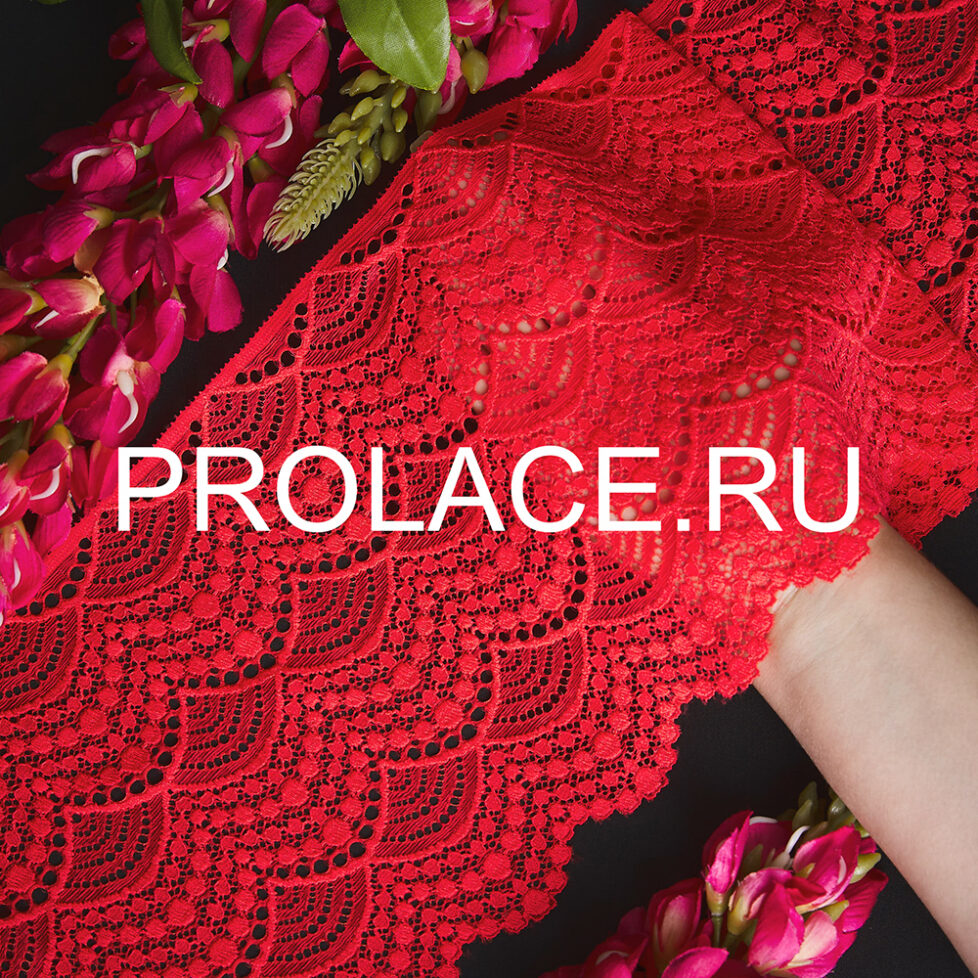 prolace 01112020 new lace24956